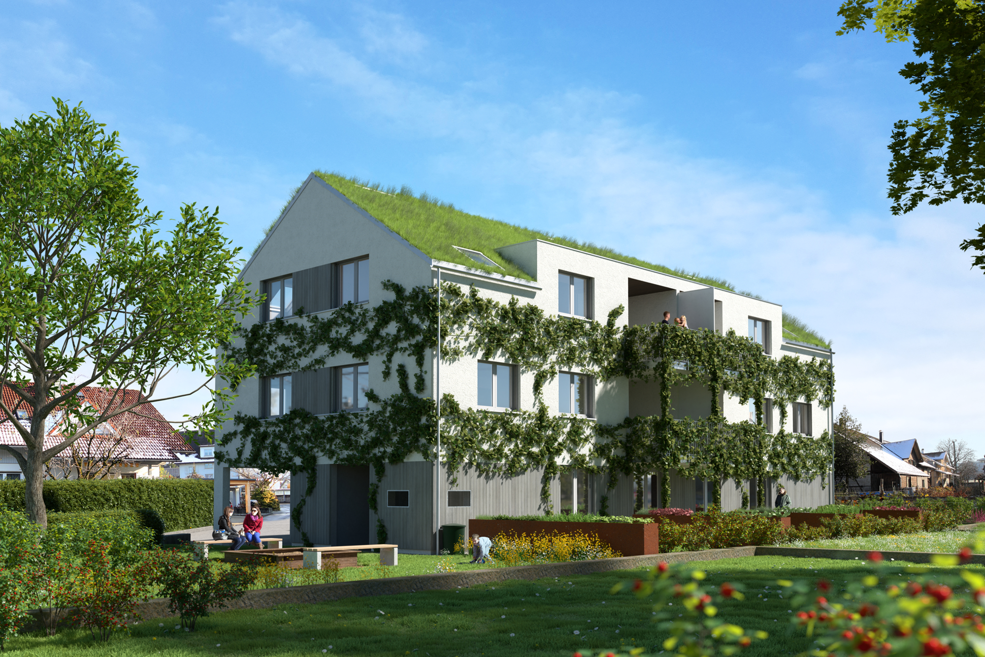 Kleinwohnanlage Färbergasse, Dornbirn  Bild1